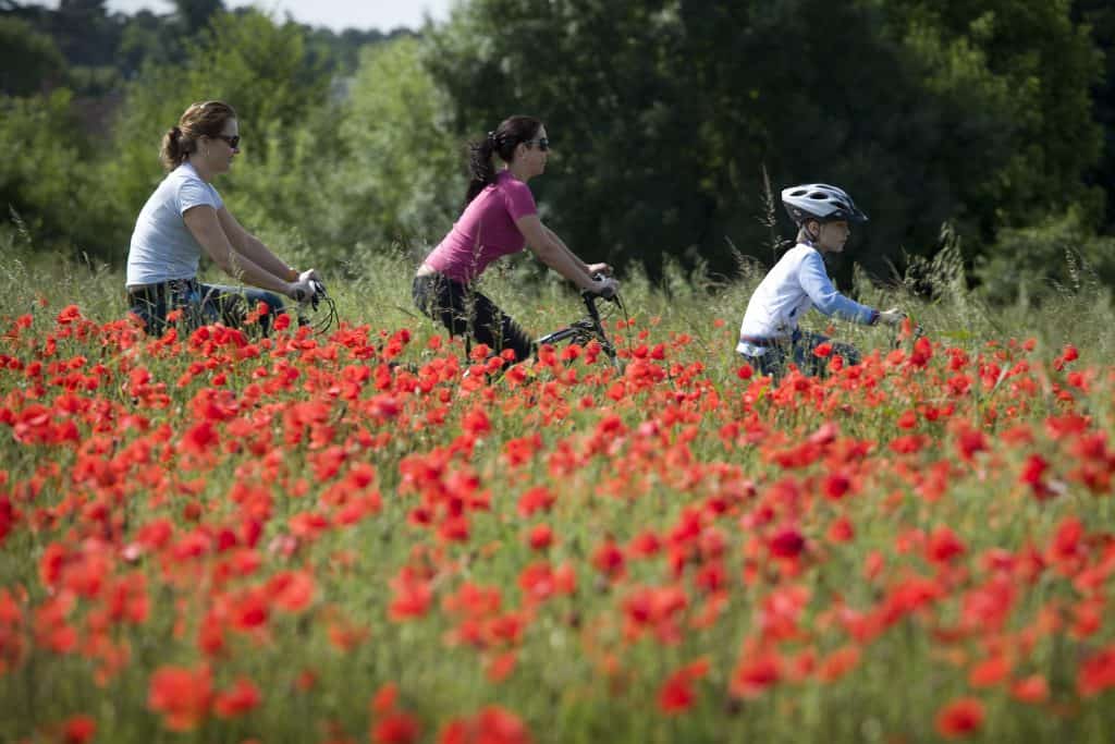 Azay-le-Rideau / Chinon Vélo de location Détours de Loire