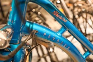 Vélo Pegasus Tours Centre