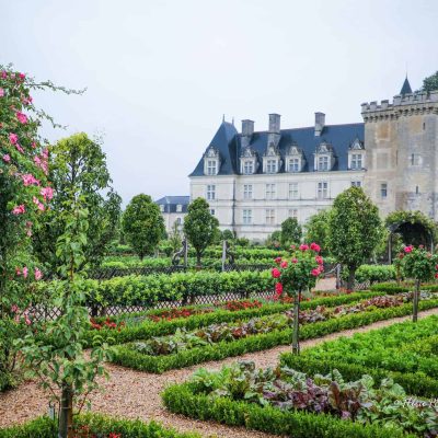 La Vallée de la Loire à vélo (Ouest)